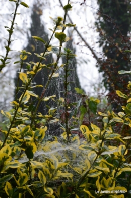 brume,dentelles,fleurs,Noel Jardiland 026-001.JPG