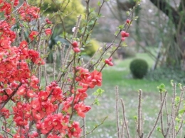 annee 2011 610.JPG