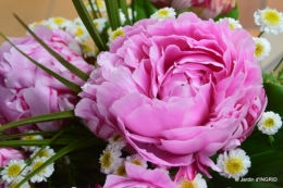 jardin pluie,Inès,Bébés cygnes,bouquet,canal 003.JPG