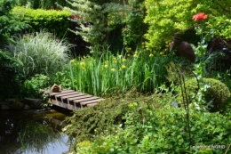 jardin en mai,visites bus,petit jardin 156.JPG