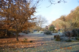 bourdon,givre,le chat 088.JPG