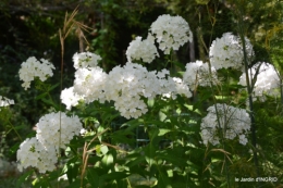libellules,papillon,jardin,Froidefond,David,Meyrals 034.JPG