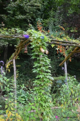 canal dentelles,Nernadette,fleurettes,apres tonte 125.JPG