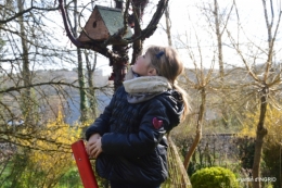 pose des nichoirs 060.JPG