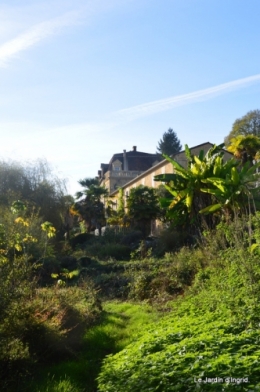 sentier des cygnes,automne novembre 087.jpg