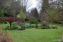 tulipes,Julie,golf,jardin 028.JPG