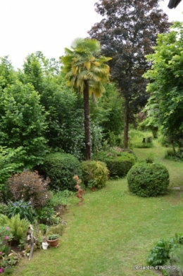 maison,jardin Bernadette,et jardin Claudine 155.JPG