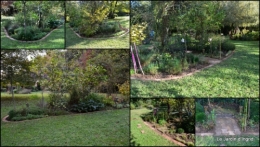 2014-10-14 jardin octobre2.JPG
