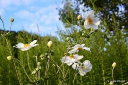 moi,Trémolat,Limeuil,Mombazillac,Bridoire,chèvres Banes,jardin,R 180.JPG