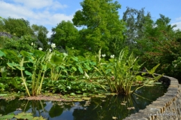 les jardins d'eau de Carsac 039.JPG