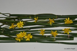 jonquilles,tableau d'ambience,champignons,gouttes d'eau 035.JPG