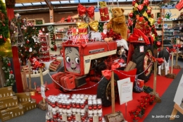 première gelée,décos Noel Jardiland Proflora 092.JPG
