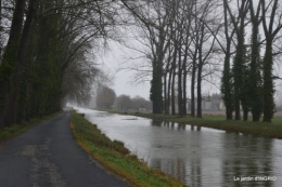 bulbes,perce neige,narcisse,pluie,hélébore,chapelle 168.jpg