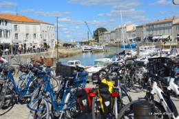 l ile de Ré,jardin automne 078.JPG