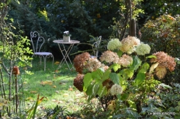 citrouille fleurie,décos jardin,automne 080.JPG