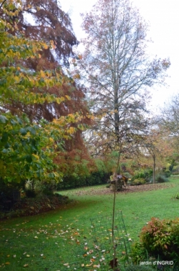couleurs d'automne,bouquet,lune 017.JPG