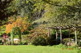 automne