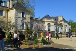les cygnes ,le coulobre,Tauziat, 054.JPG