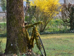 semis,taille,tonte,tour du jardin 051.JPG