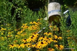 orage,puces,bouquet,Anniv.Ines,Brantome,Jardins d'eau 049.JPG