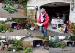 2015-10-20 vide jardin,citrouilles,derriere cabane,papillon.jpg