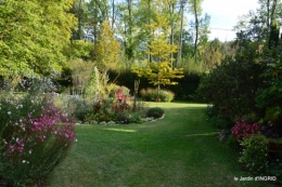 cygnes,jardin,apres la tonte 071.JPG