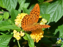 jardin,papillons,anniversaire d'Ines,bricolage 112.JPG