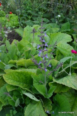hirondelles,décos chevreuils,jardin,hémérocalles 058.JPG