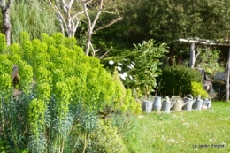 jardin en mars 134.JPG