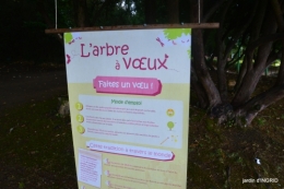 cornouiller,Limeuil,Campagne, 072.JPG