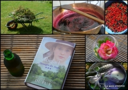2018-07-02 hémérocalles,les filles,les cygnes,la passerelle,moi,jardin.jpg