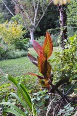 bouquet d ete,Plambouissin,grotte ,Erignac,Campagne,Julie 099.JPG