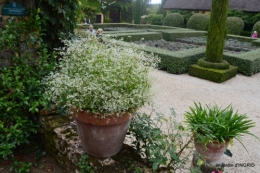 jardin pluie,chateau Losse 126.jpg