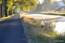 canal,au fond de l'Or,Julie,feuilles 002.JPG