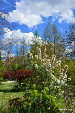 jardin printemps 006.JPG