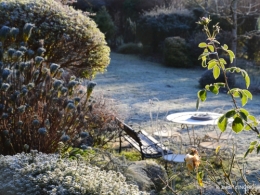 colline,jardin givré 052.JPG