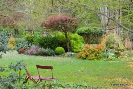 jardin confiné ,osier,magnolia jaune 046.JPG