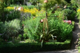 aout jardin 079.JPG