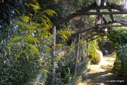 mon coin,Monique,les oies,mon jardin 047.JPG