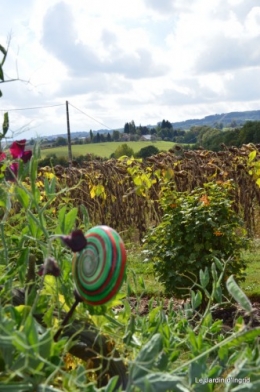 jardin de Marie,éoliennes,Ciron,Angles,Fontgombault 044.JPG