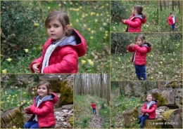 2018-03-09 les jonquilles des bois1.jpg