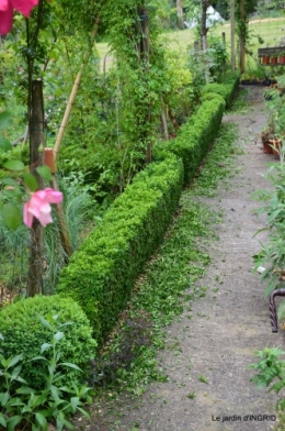 roses,les bébés cygnes 006.JPG