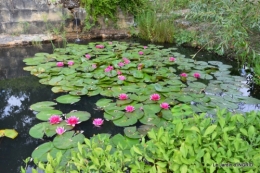 les jardins d'eau de Carsac 062.JPG