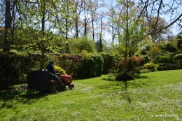 tour de jardin d'avril ,tonte 044.JPG