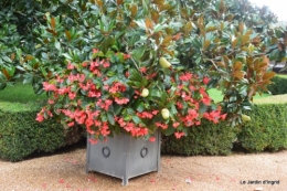 les Milandes,Mompazier,jardin 200.JPG