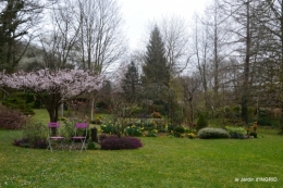 filles, fleurs printemps,semis 039.JPG