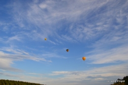 Vol mongolfière,compo fleurs grenouille 099.JPG