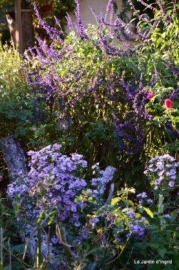 jardin début d'automne ,Sophie,rouge 037.JPG