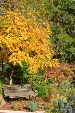 jardin serre bucher automne 044.JPG