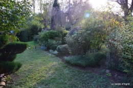 jardin octobre 063.JPG
